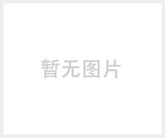 百兆自适应光纤收发器 (TBC-3302)